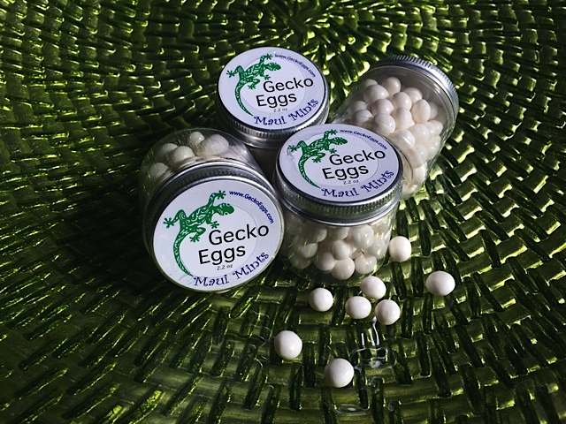 Gecko Eggs